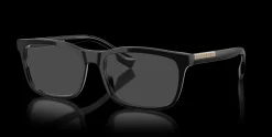 BURBERRY Elm BE2334 3001
