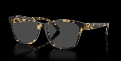 RALPH LAUREN RL6243 5004