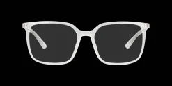 SEEN 0NE3079 2