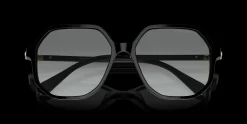 SWAROVSKI SK6003 100111