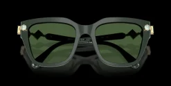 SWAROVSKI SK6041 102671