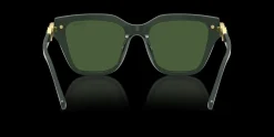 SWAROVSKI SK6041 102671
