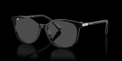 SWAROVSKI SK2002 1001