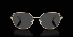 SWAROVSKI SK1011 4013