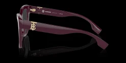 BURBERRY BE2388 3979