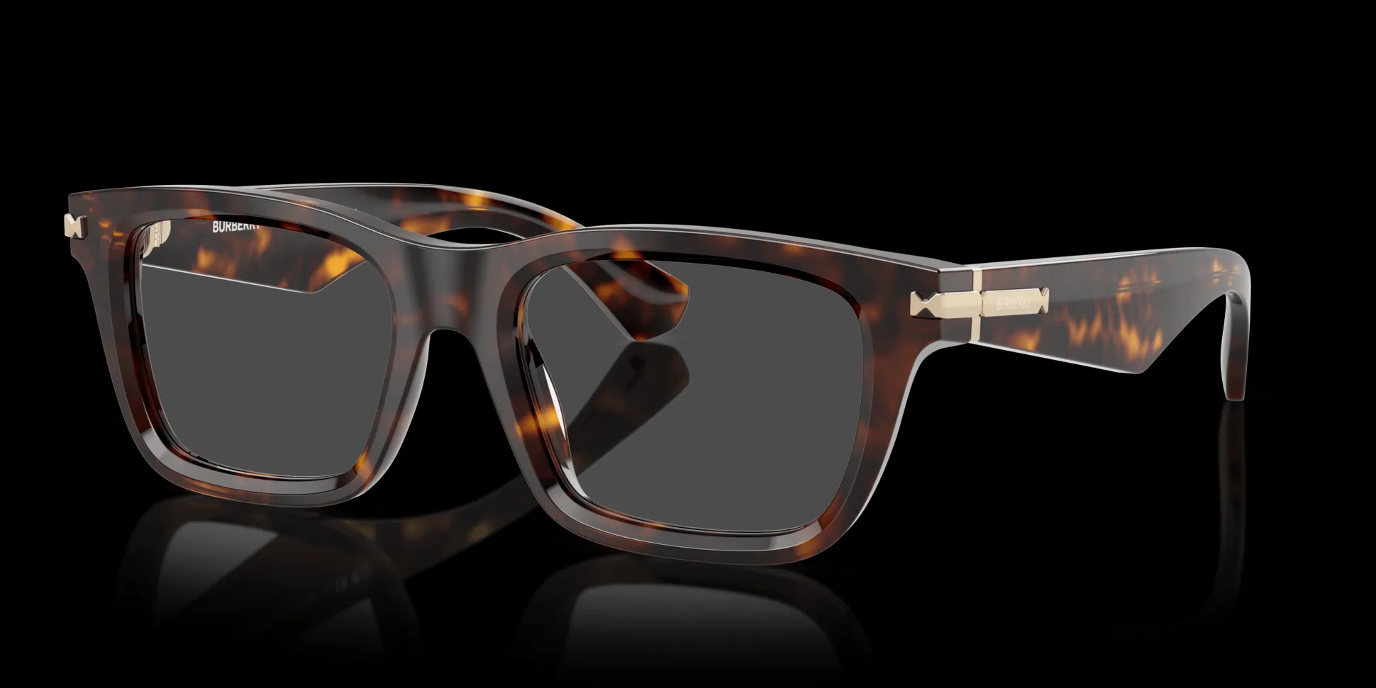 BURBERRY BE2419 3002