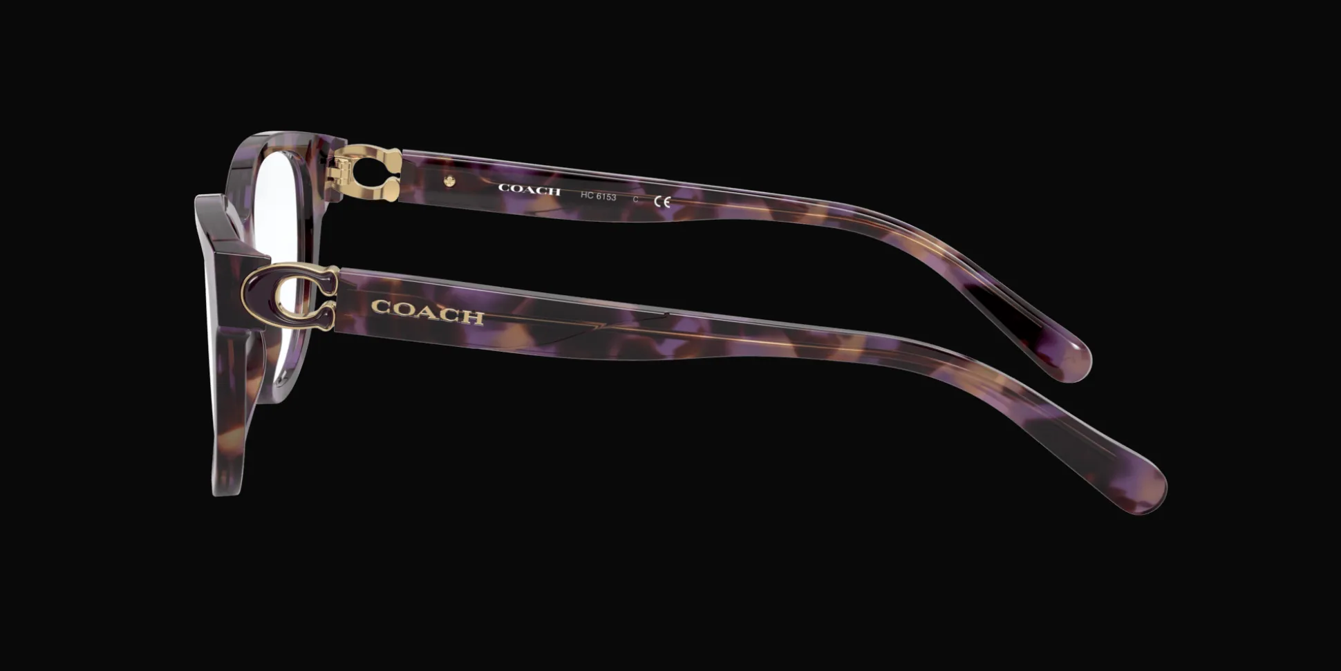 COACH HC6153 5612