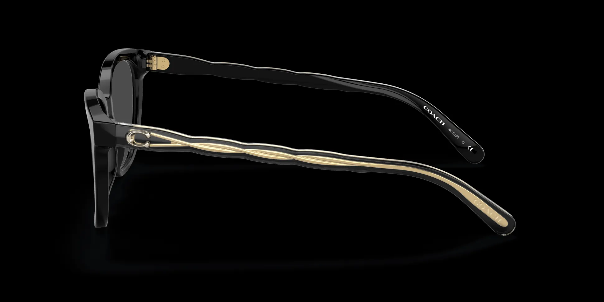 COACH HC6186 5002