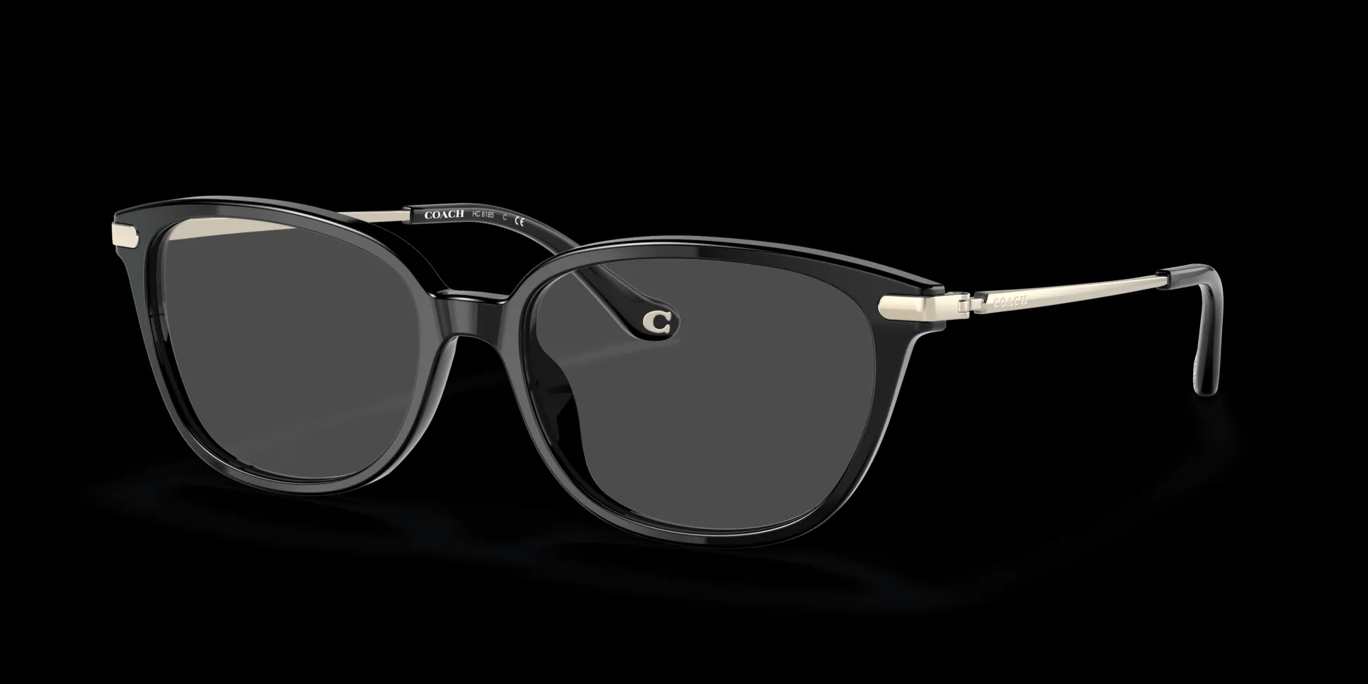 COACH HC6185 5002