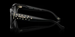 COACH HC8392U 50023C