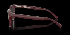 NUANCE AUDIO AW5004 3