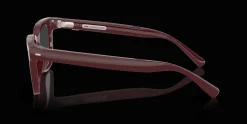 NUANCE AUDIO AW5001 5 avec verres Transitions®