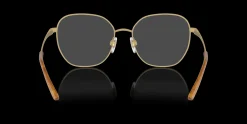 RALPH LAUREN RL5120 9450