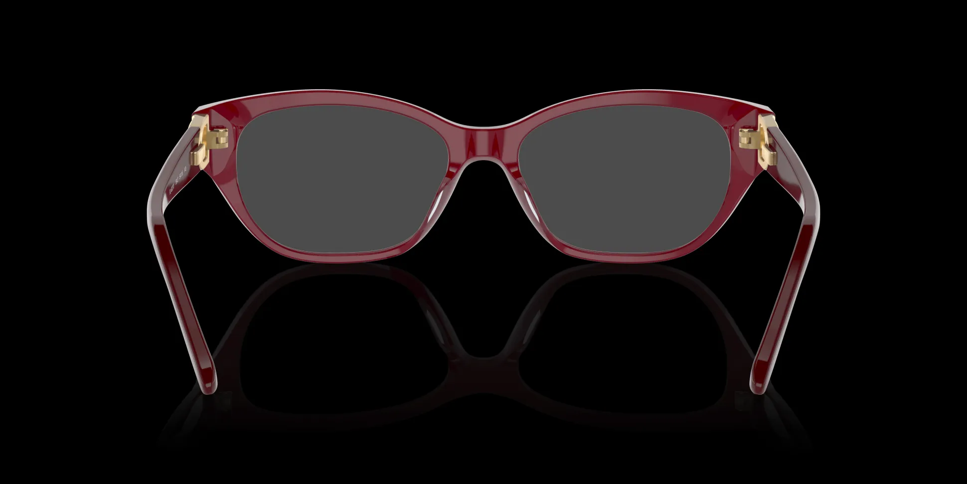 RALPH LAUREN RL6227U 5912