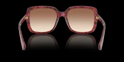 RALPH RA5333U 623913