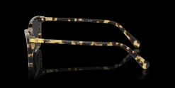 SWAROVSKI SK2015 1009