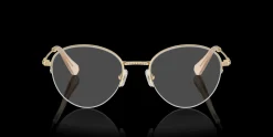 SWAROVSKI SK1004 4013