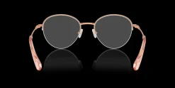 SWAROVSKI SK1004 4014