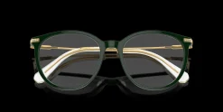SWAROVSKI SK2009 1026