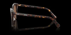 SWAROVSKI SK6031 100273