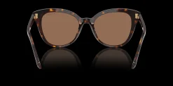SWAROVSKI SK6031 100273