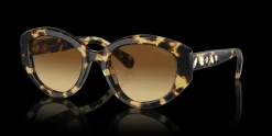 SWAROVSKI 0SK6005 100913