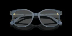 SWAROVSKI SK2002 1035