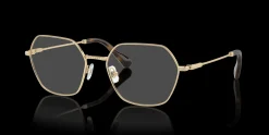 SWAROVSKI SK1011 4013