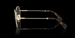 SWAROVSKI SK1011 4013