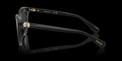 SWAROVSKI SK2052 1001