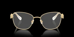 SWAROVSKI SK1025 404M