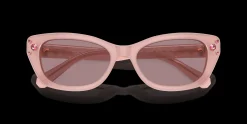 SWAROVSKI SK6019 10317N