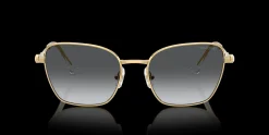 SWAROVSKI SK7029 4004T3